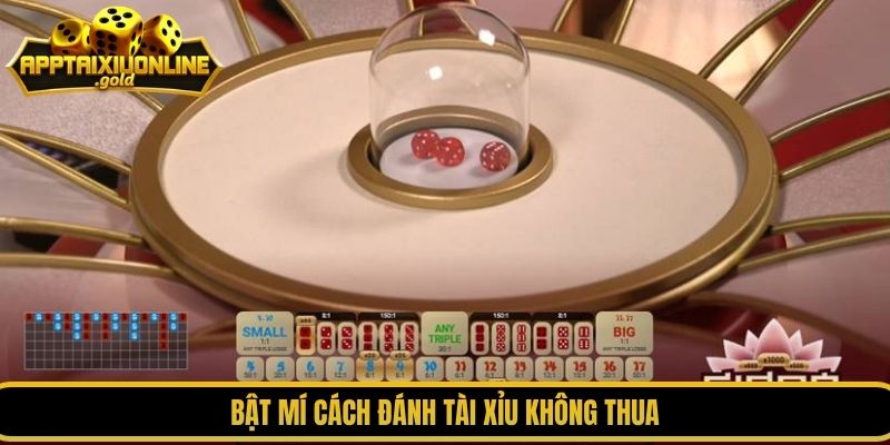 Bật mí cách đánh tài xỉu không thua