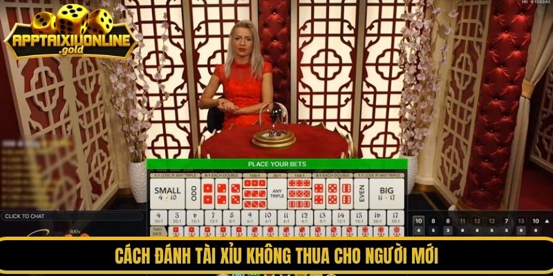 Cách đánh tài xỉu không thua cho người mới