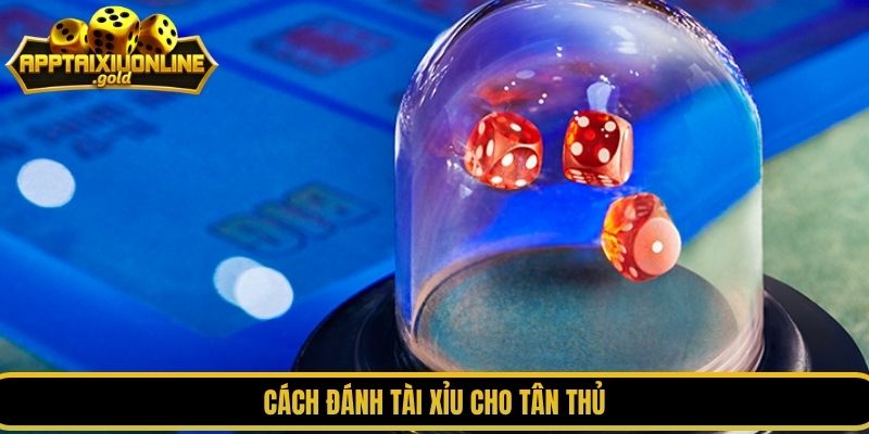 Cách đánh tài xỉu cho tân thủ