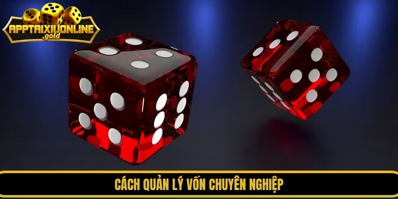 Cách quản lý vốn chuyên nghiệp
