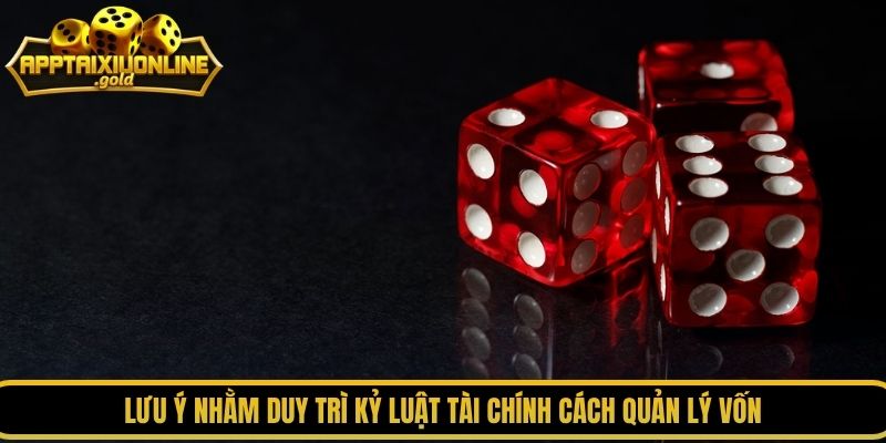 Lưu ý nhằm duy trì kỷ luật tài chính cách quản lý vốn